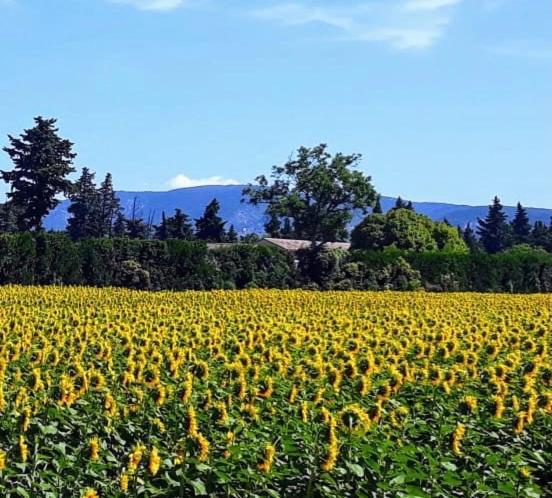 La Roubine, Velleron Villa Kültér fotó